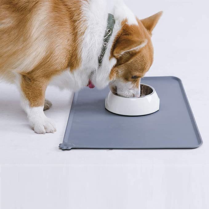 Stainless Steel Pet Feeder Bowl with Stand