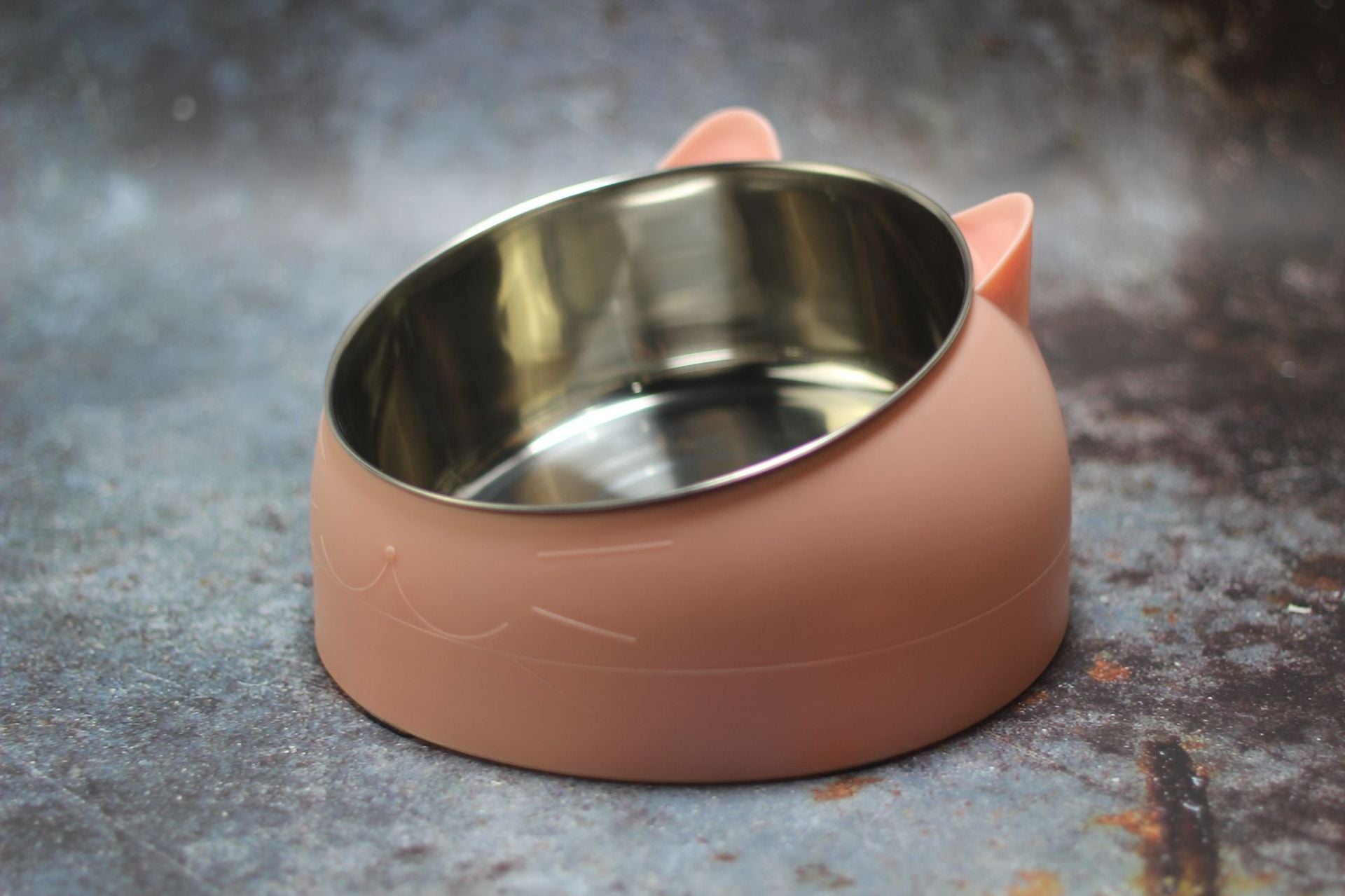 Elevated Tilted Pet Bowl with Stainless Steel Insert