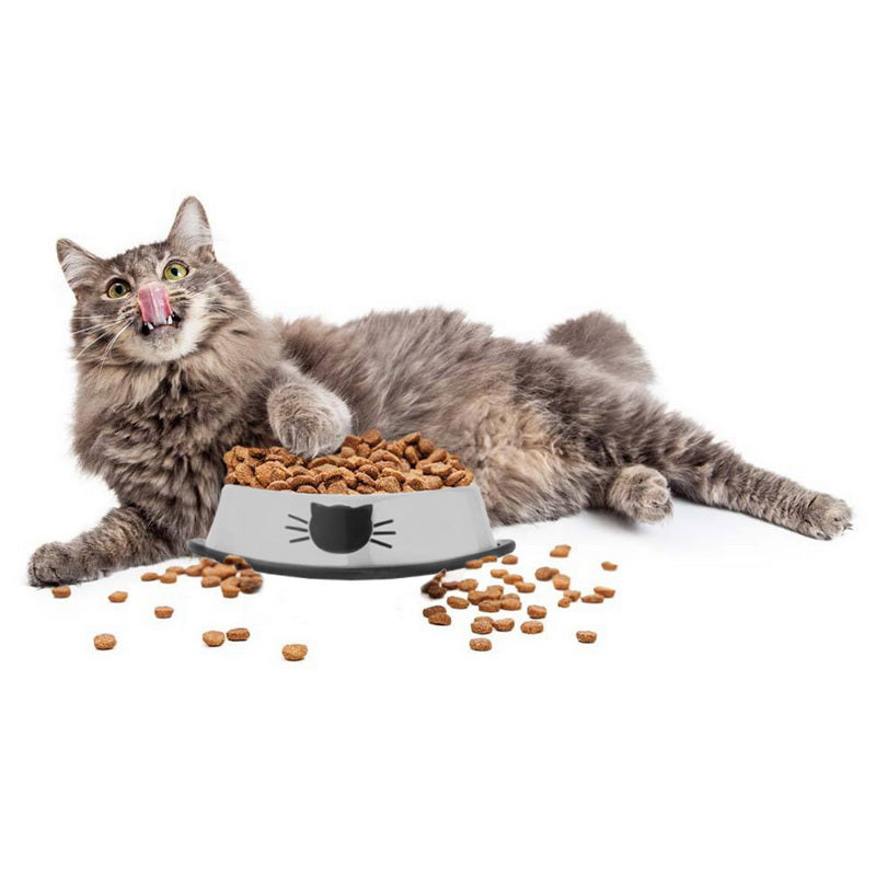 Non-Slip Stainless Steel Pet Bowl