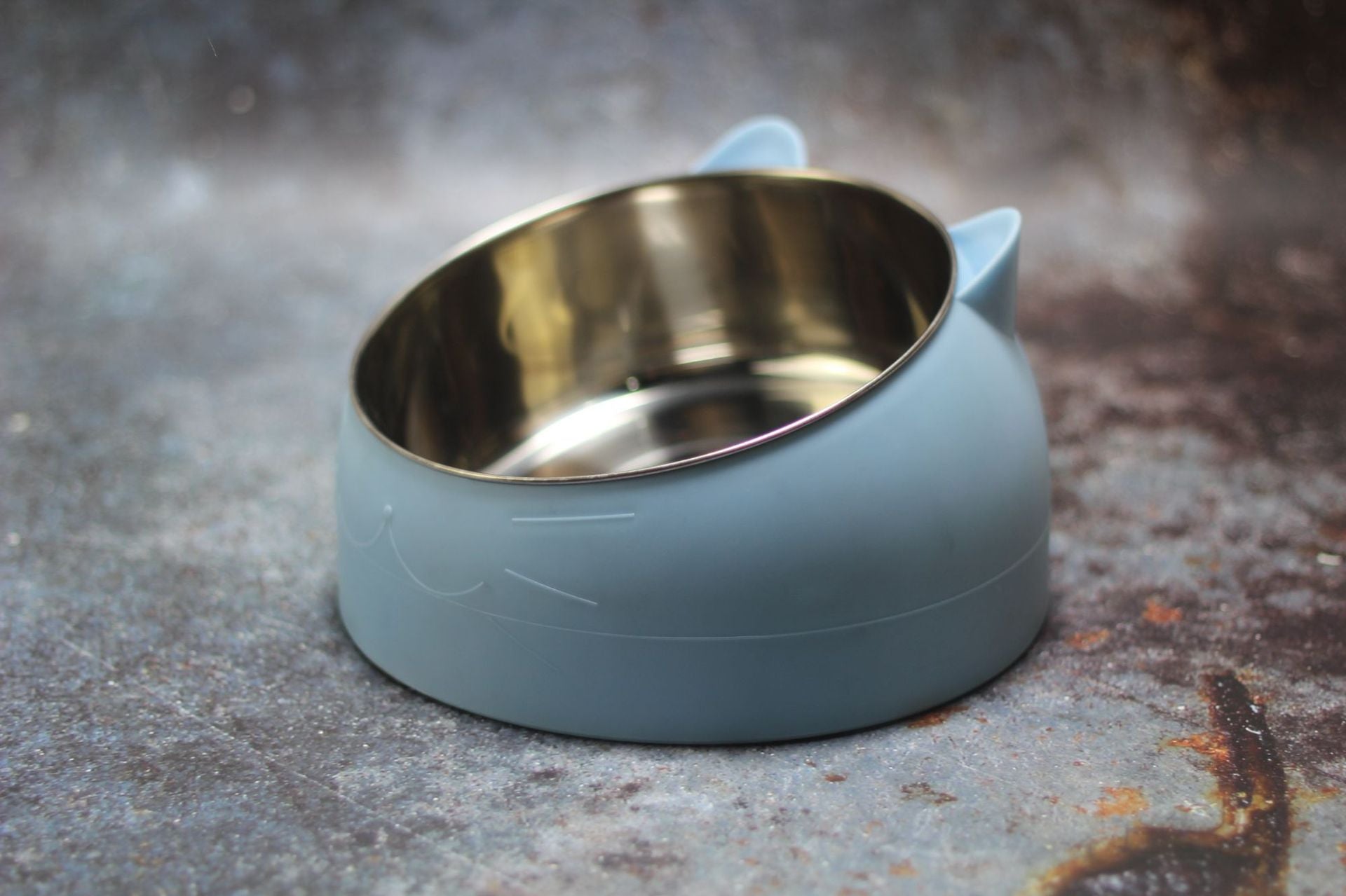 Elevated Tilted Pet Bowl with Stainless Steel Insert