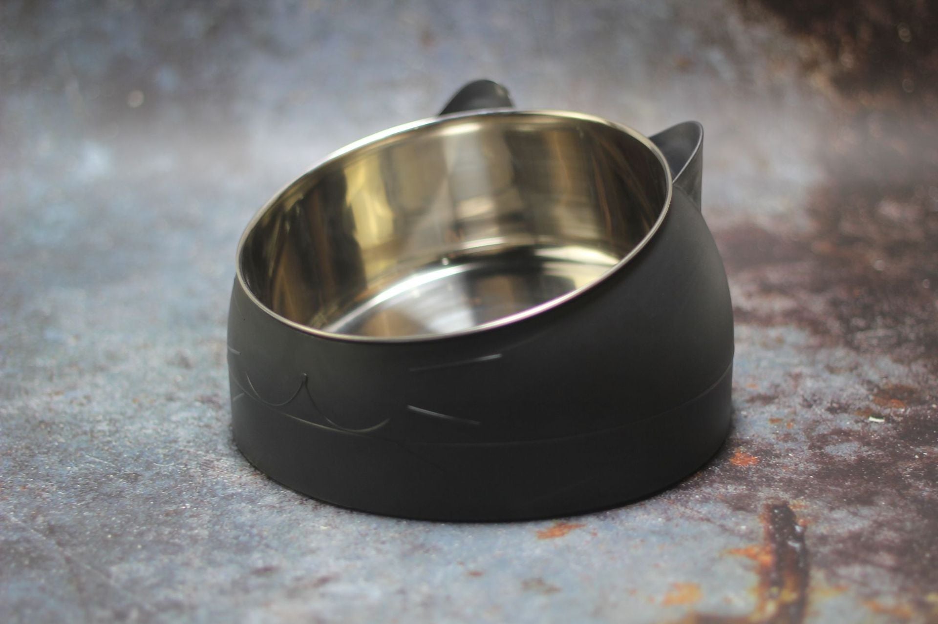 Elevated Tilted Pet Bowl with Stainless Steel Insert