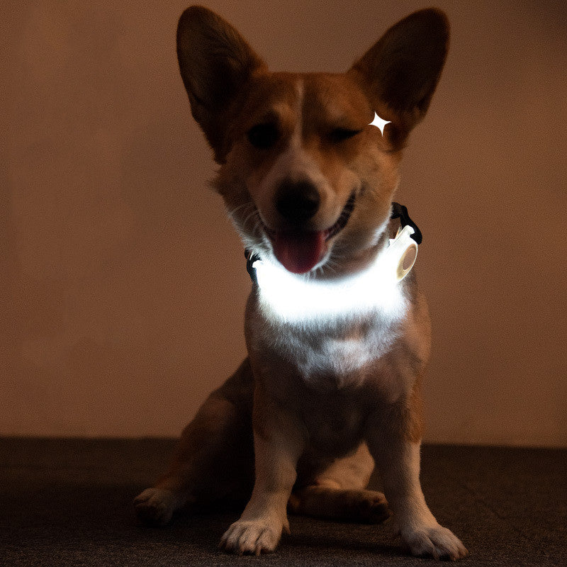 LED Light-Up Dog Leash & Safety Collar