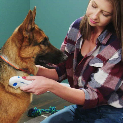 Flea Doctor Electric Flea Removal Comb