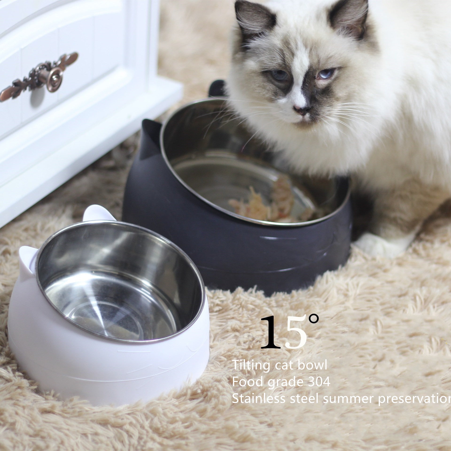 Elevated Tilted Pet Bowl with Stainless Steel Insert