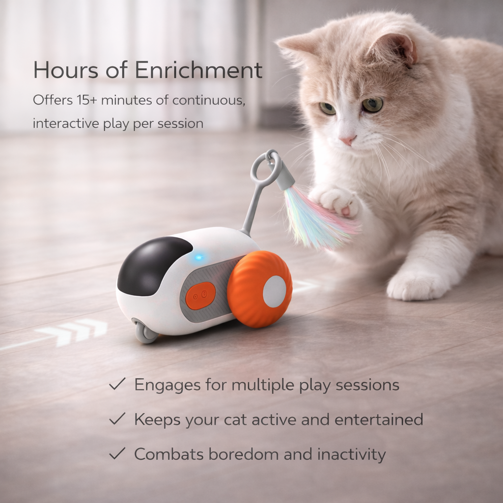 iMouse Smart Chase Car Toy for Pets