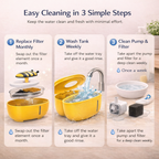 Little Bee Automatic Pet Water Dispenser – Silent Filtered Flow for Pets
