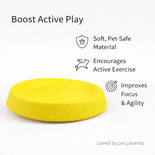 Interactive Dog Frisbee Toy for Exercise, Training & Bonding