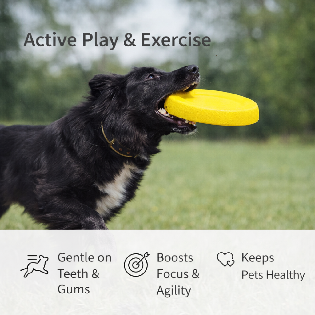 Interactive Dog Frisbee Toy for Exercise, Training & Bonding