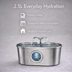 Stainless Steel Pet Water Dispenser  (2.5L)