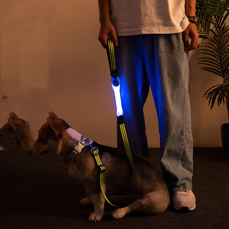 LED Light-Up Dog Leash & Safety Collar