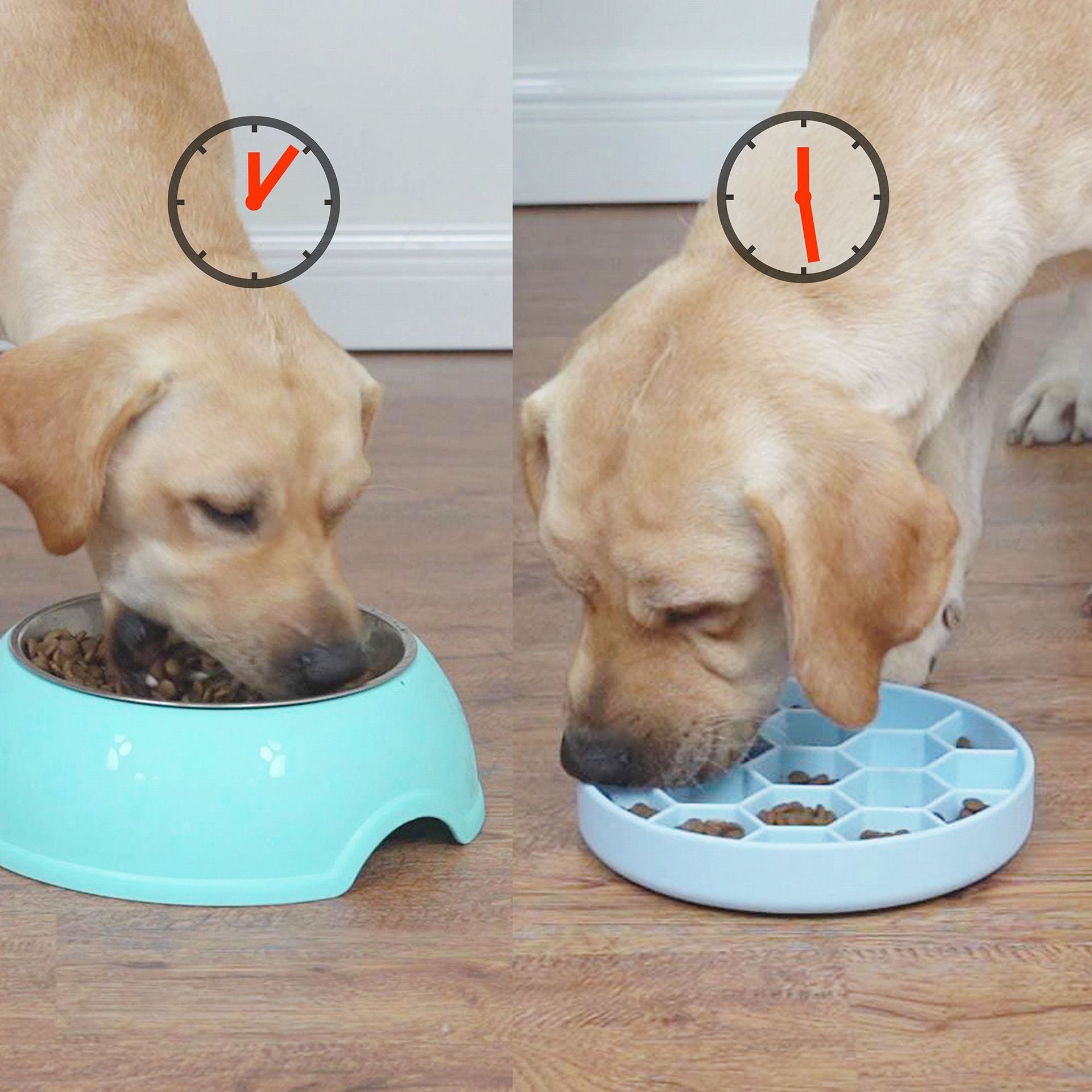 Honeycomb Slow Feeder Pet Bowl