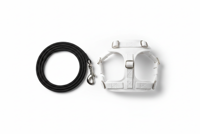 Pet gear like leashes and harness. Only one each. Clean white background. White or black for the harness and leash.\